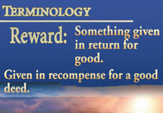 Reward terminology-define